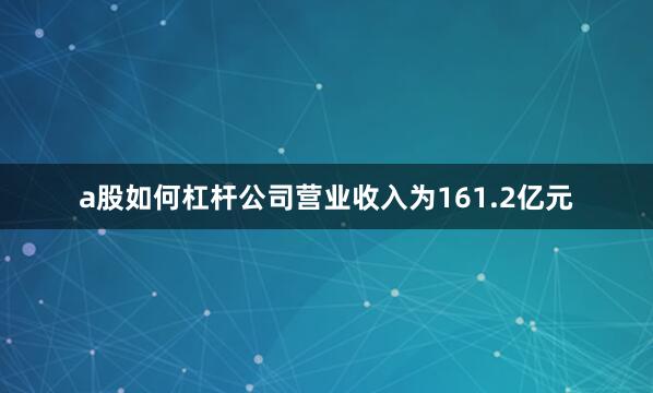 a股如何杠杆公司营业收入为161.2亿元